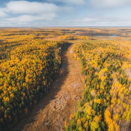 Grey Sleep Calming Noise - Fans & White Noise