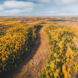 Grey Sleep Calming Noise - Fans & White Noise