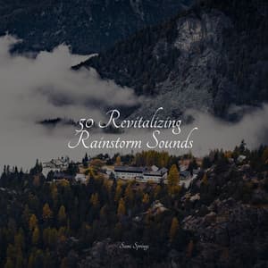 50 Revitalizing Rainstorm Sounds - Rain Sounds Sleep