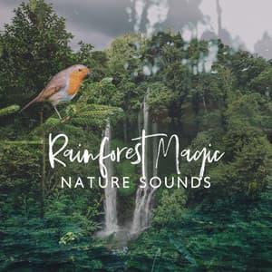 Rainforest Magic: Nature Sounds - Forest Winston