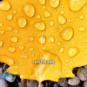 * rain for bed * - Ambient Rain