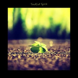 Soulful Spirit - Bosanova Brasilero