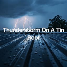 Thunderstorm On A Tin Roof - Thunderstorm Sound Bank