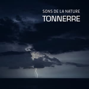 Sons de la nature: tonnerre - Sons De Pluie