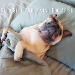 Deep Sleep Relaxing Dog Music - Dog & Calm