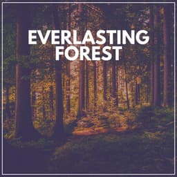 Everlasting Forest - The Outdoor Library