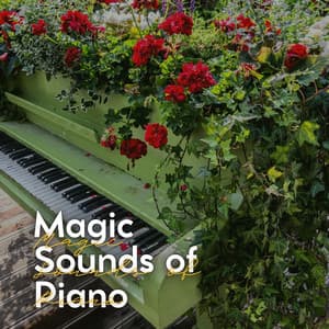Magic Sounds of Piano - Quiet Piano
