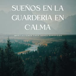 Sueños En La Guardería En Calma: Meditaciones Para Bebés Pacíficos - Recién Nacido Relajarse