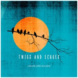 Twigs and Echoes - Nature Bird Sounds