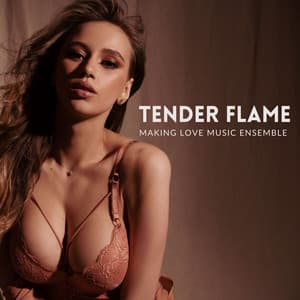 Tender Flame: Erotic R&B - Making Love Music Ensemble