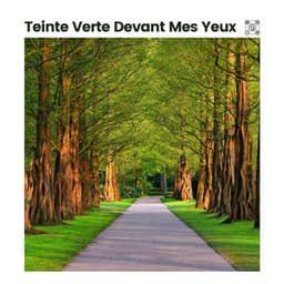 Teinte Verte Devant Mes Yeux - Sons de la nature