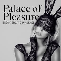 Palace of Pleasure: Slow Erotic Massage Music, Boost Your Libido, Tantric Love Music, Orgasmic Playlist - Sri Siddhi