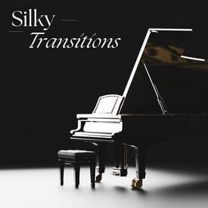 Silky Transitions - Chilled Jazz Masters