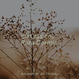 50 Clásicos Para Dormir - Meditation Relaxation Club