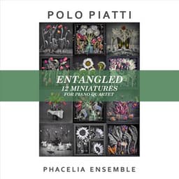 Polo Piatti: Entangled - 12 Miniatures for Piano Quartet - Polo Piatti