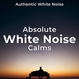 Absolute White Noise Calms - Authentic White Noise