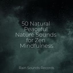 50 Natural Peaceful Nature Sounds for Zen Mindfulness - Spa & Spa