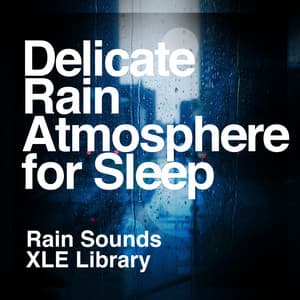 Delicate Rain Atmosphere for Sleep - Rain Sounds XLE Library