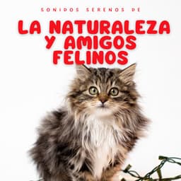 Sonidos Serenos De La Naturaleza Y Amigos Felinos - Acústica de la Naturaleza