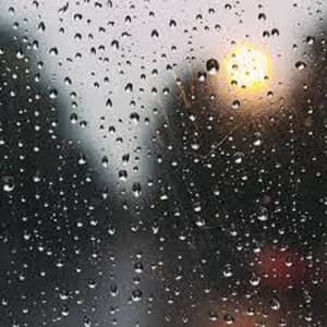 Rain Sounds, Vol 2 - Echoes Of Nature