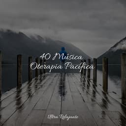40 Música Oterapia Pacífica - Meditação Maestro