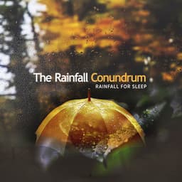 The Rainfall Conundrum - Rainfall For Sleep