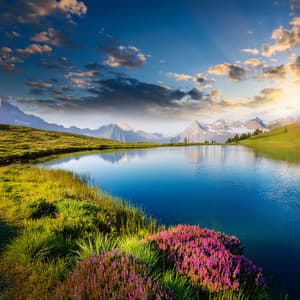 Vibraciones Relajantes: Relajación Con Ritmos De Hip Hop - Vibraciones armoniosas