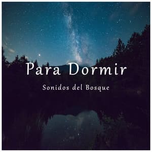 Sonidos del Bosque Para Dormir - Forest Sounds