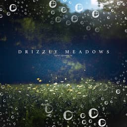 Drizzly Meadows - Rain Sounds FX