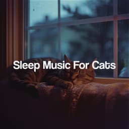 Sleep Music For Cats - Kundalini: Yoga, Meditation, Relaxation