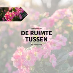 De Ruimte Tussen - Ontspanning en Harmonie