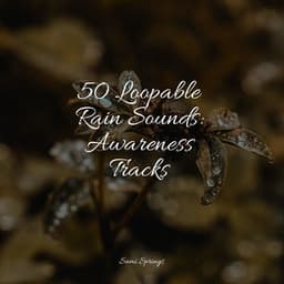 50 Loopable Rain Sounds: Awareness Tracks - Binaural Creations