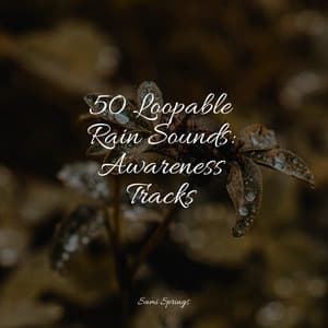 50 Loopable Rain Sounds: Awareness Tracks - Binaural Creations