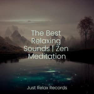 The Best Relaxing Sounds | Zen Meditation - Sonidos De Lluvia y Tormentas