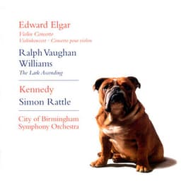 Elgar: Violin Concerto - Vaughan Williams: The Lark Ascending - Nigel Kennedy