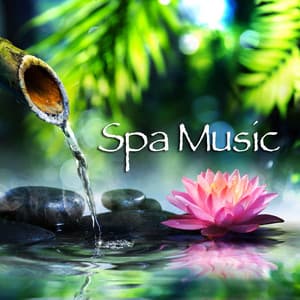 Relaxing Spa Music Meditation Peaceful & Beautiful - Asian Zen: Spa Music Meditation
