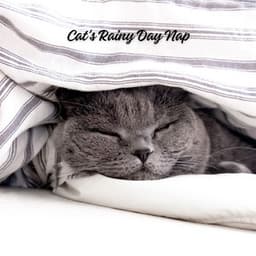 Cat's Rainy Day Nap - Deep Rain Sampling