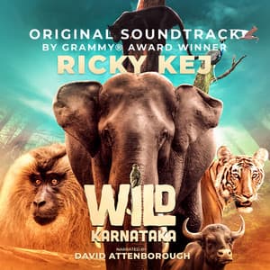 Wild Karnataka - Ricky Kej