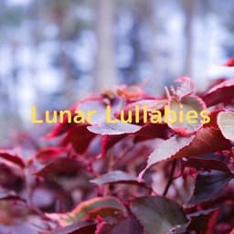Lunar Lullabies - Soulful Symphony