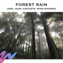 Forest Rain - Baby Sleep Spot