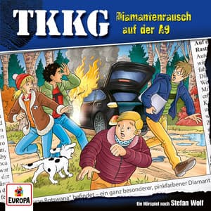 214/Diamantenrausch auf der A9 - TKKG