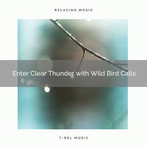1 Enter Clear Thunder with Wild Bird Calls - Deep Rain Sampling