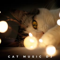 Relaxing Piano For Cats - Cat Music DJ