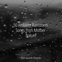 50 Ambient Rainstorm Songs from Mother Nature - MEDITATION SPA