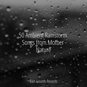50 Ambient Rainstorm Songs from Mother Nature - MEDITATION SPA