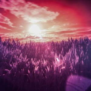 34 Ambient Nature Sounds: Forest Songs - Baltic Nature Sounds