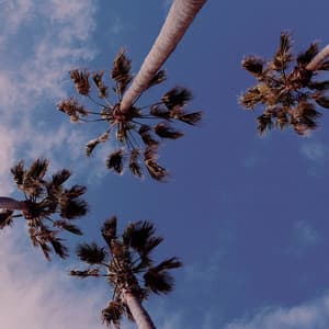 1 Coastal Night: Relaxing Ocean Bliss - Ocean Sounds