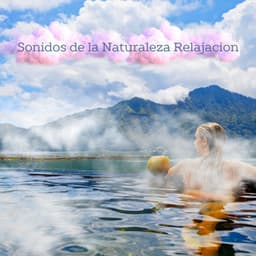 Álbum de relajación definitivo 2024 - Simply Sleep Ambience