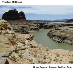 Gone Beyond Reason to Find One - Thollem Mcdonas