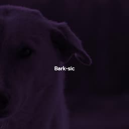 Bark-sic - Elevator Background Music Classics